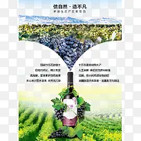 葡萄园水果红酒-空若网 葡萄园水果红酒-空若网
