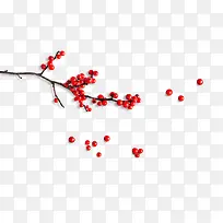 ÷����֦-������