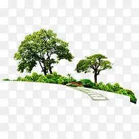 ��ɫС���ز�-������