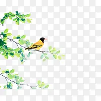 ����-������