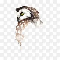 ʸÁ¿Ã¨Í·Ó¥-¿ÕÈôÍø ʸÁ¿Ã¨Í·Ó¥-¿ÕÈôÍø