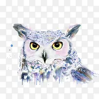 矢量猫头鹰-空若网 矢量猫头鹰-空若网