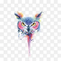 矢量水彩猫头鹰-空若网 矢量水彩猫头鹰-空若网