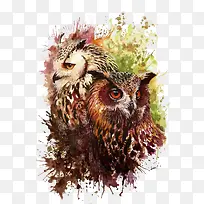 ʸ��ˮ��èͷӥ-������