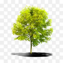 ���������´��̵���-������