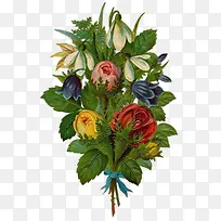 唯美手绘花素材-空若网 唯美手绘花素材-空若网