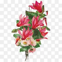 手绘花饰图片手绘花素描-空若网 手绘花饰图片手绘花素描-空若网