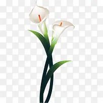 矢量插画水仙花-空若网 矢量插画水仙花-空若网