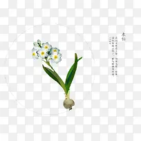 手绘花卉-空若网 手绘花卉-空若网