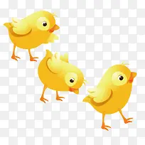 可爱小鸡-空若网 可爱小鸡-空若网