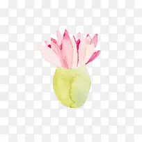 ÊÖ»æË®²Ê»¨¶ä¹ûʵ-¿ÕÈôÍø ÊÖ»æË®²Ê»¨¶ä¹ûʵ-¿ÕÈôÍø