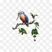 �ֻ���֦����-������