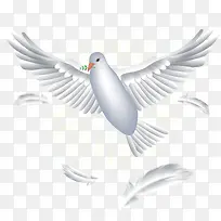 白色挥着翅膀的和平鸽-空若网 白色挥着翅膀的和平鸽-空若网