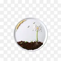 ��������Ļ���ʳ������ز�-������