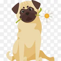 狗年狗狗PNG下载-空若网 狗年狗狗PNG下载-空若网