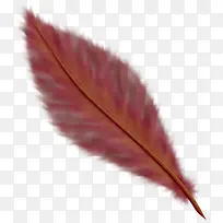 ¾«ÃÀ³á°ò-¿ÕÈôÍø ¾«ÃÀ³á°ò-¿ÕÈôÍø