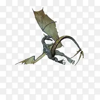 长尾飞龙-空若网 长尾飞龙-空若网