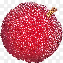 手绘杨梅-空若网 手绘杨梅-空若网