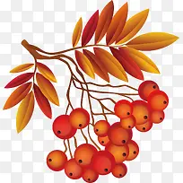 Ñî÷Ê÷֦װÊÎʸÁ¿-¿ÕÈôÍø Ñî÷Ê÷֦װÊÎʸÁ¿-¿ÕÈôÍø