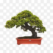 ��������-������