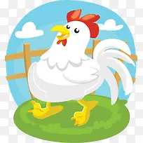 白色公鸡-空若网 白色公鸡-空若网