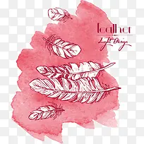 羽毛水彩装饰-空若网 羽毛水彩装饰-空若网