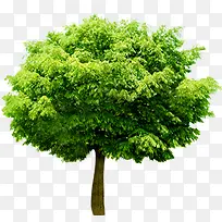 ����������������-������