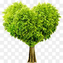 清新爱心树叶大树美景-空若网 清新爱心树叶大树美景-空若网