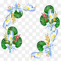 ����ɫˮ�ʻ�������-������