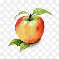 ÊÖ»æË®¹û-¿ÕÈôÍø ÊÖ»æË®¹û-¿ÕÈôÍø