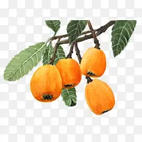 手绘水果-空若网 手绘水果-空若网