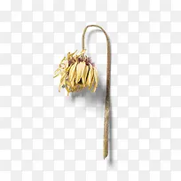 ��ή��ɫ����-������