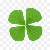 ��Ҷ���ز�-������