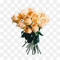 橙色清新花束装饰图案-空若网 橙色清新花束装饰图案-空若网