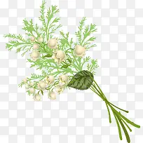 卡通手绘清新花束-空若网 卡通手绘清新花束-空若网