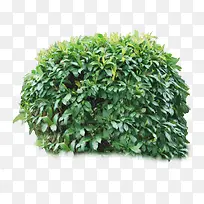 ��ɫ��-������