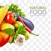 绿色食物-空若网 绿色食物-空若网