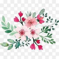 ����ˮ��ӣ������-������