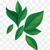 树叶png矢量素材-空若网 树叶png矢量素材-空若网