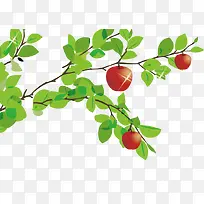 苹果树素材-空若网 苹果树素材-空若网