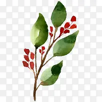 树枝-空若网 树枝-空若网