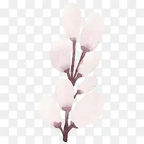 树枝-空若网 树枝-空若网