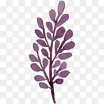 树枝-空若网 树枝-空若网