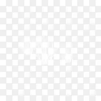 冬季树枝-空若网 冬季树枝-空若网