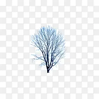 冬季大树-空若网 冬季大树-空若网