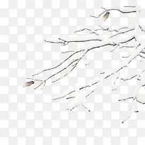 冬季树枝-空若网 冬季树枝-空若网