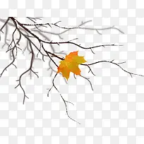 冬季装饰树枝-空若网 冬季装饰树枝-空若网