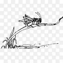 昆虫素材-空若网 昆虫素材-空若网