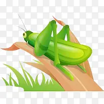 昆虫素材-空若网 昆虫素材-空若网