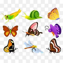 昆虫素材-空若网 昆虫素材-空若网